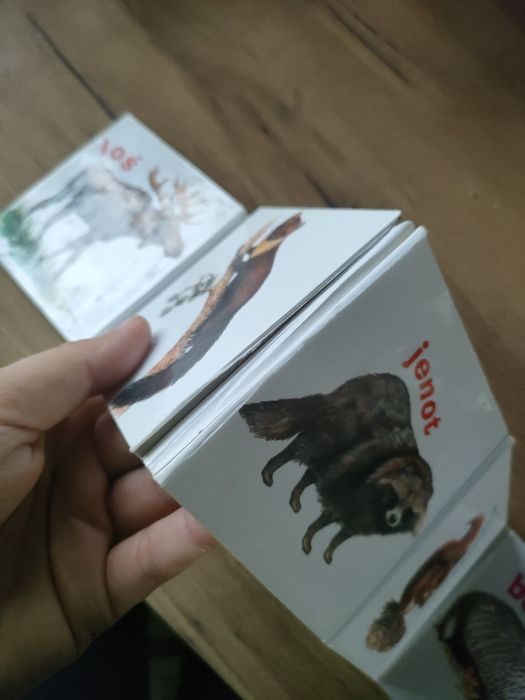 Książeczki z obrazkami zwierzęta