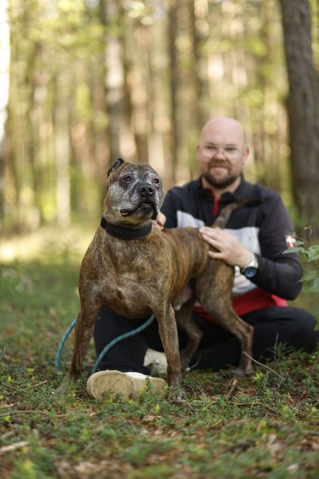 Piesek na około 4 lsta