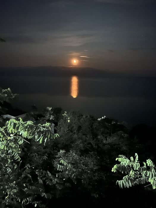 Сдам дачу у моря