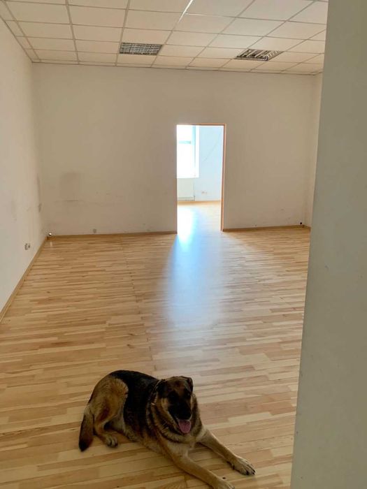 Офіс 54,6м2  (Б.Хмельницького 106) від власника