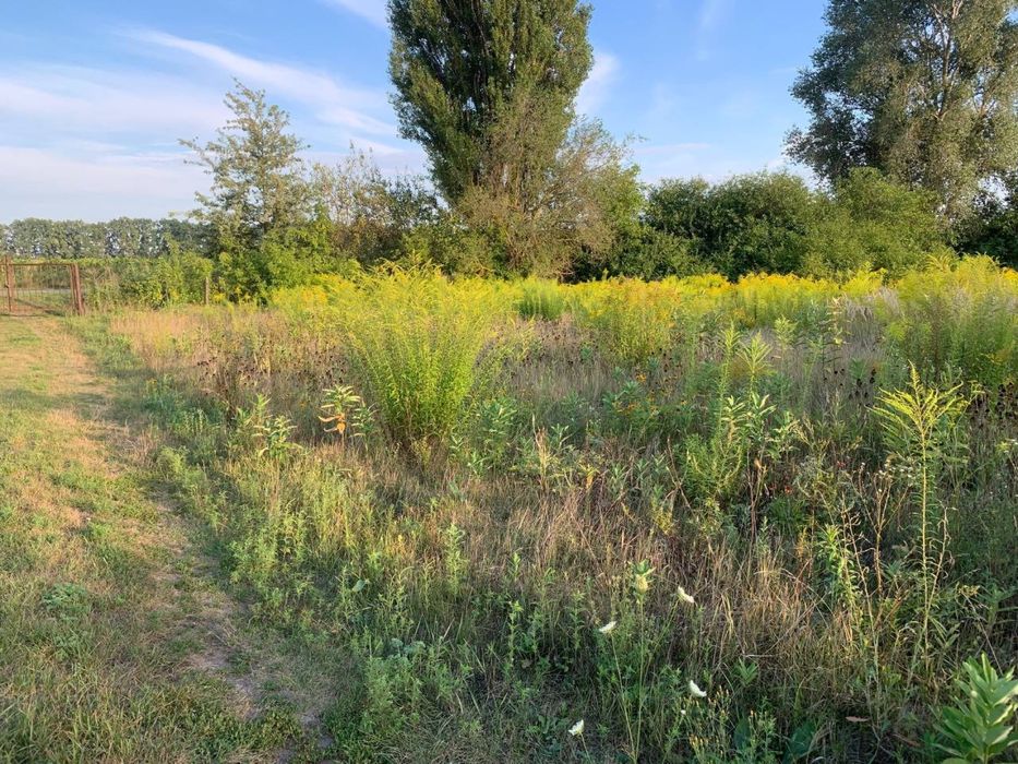 Продам ділянку 10 соток с.Дубове (1 км), ст.Хмельовик (10 хв.)