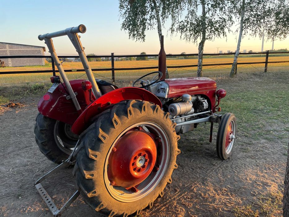 Ciągnik rolniczy Massey Ferguson TE-D, 1954 r.