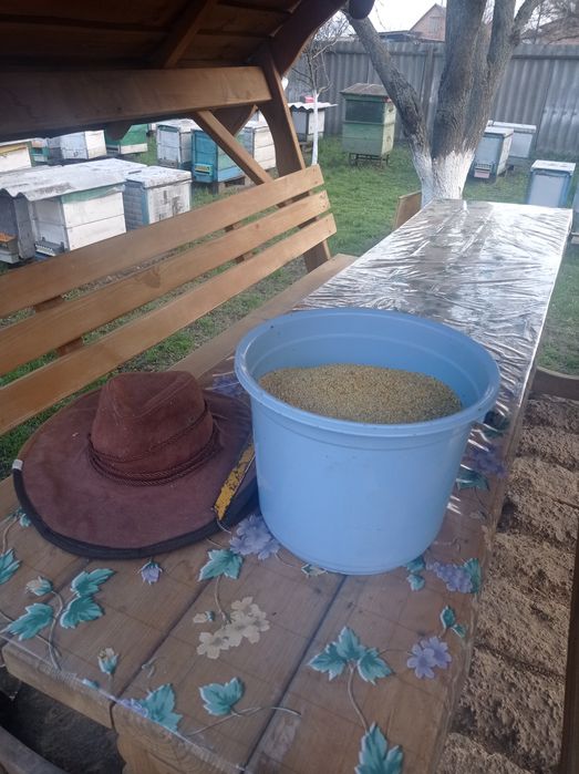 Пилок квітковий (Обніжя бджолине)