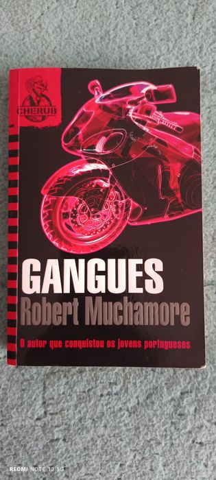 Livro  (Gangues)