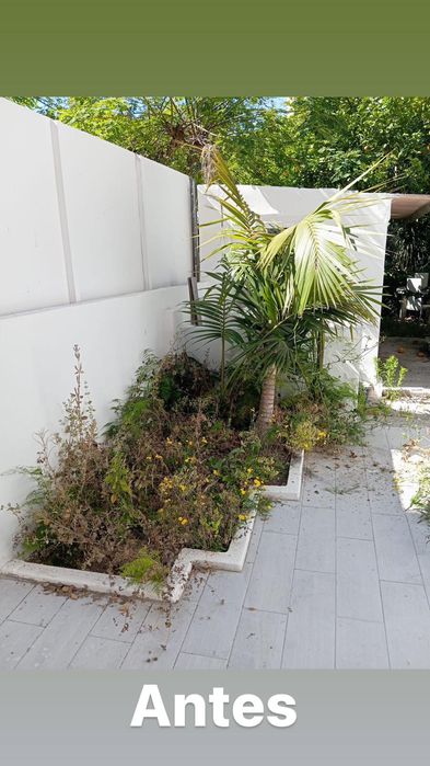 Serviço de Jardinagem