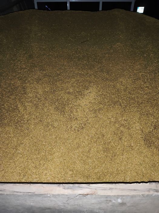 Sprzedam Owies pellet