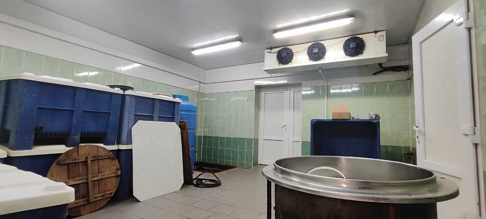 Продам комерційну нерухомість.Прибутковий готовий бізнес.Рибний цех