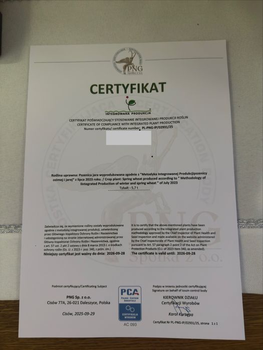 Sprzedam Przenica Tybalt