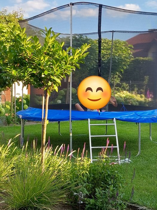 Trampolina Plum, średnica 3m