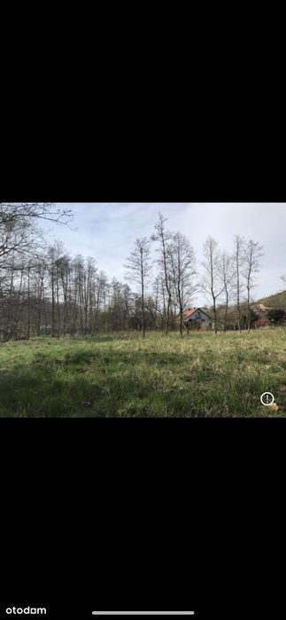 Działka z potencjałem! 42,7 ara pod lasem! Ok 35 km od Krakowa!