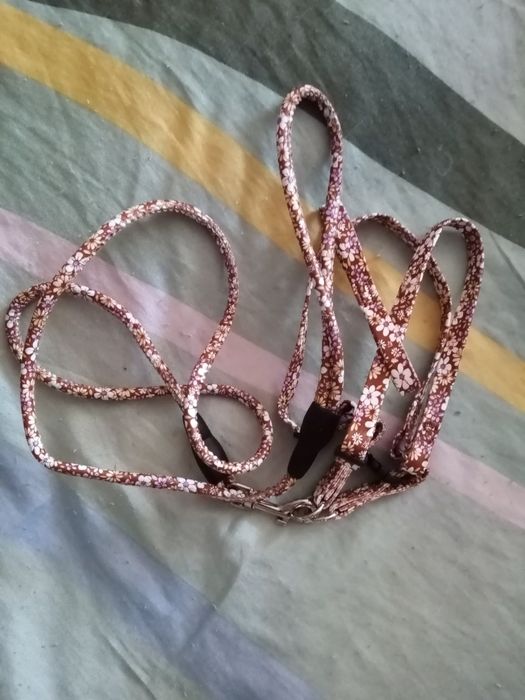 Поводок для кота, кошки новый