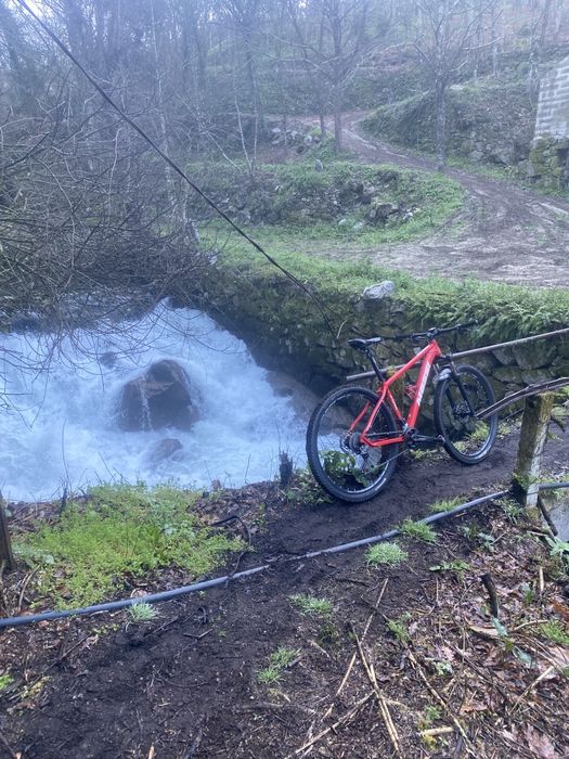 Bicicleta massi aro 29