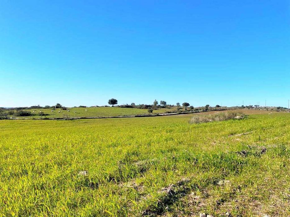Vende-se terreno rústico, herdade em Alagoa-Portalegre (Alentejo)