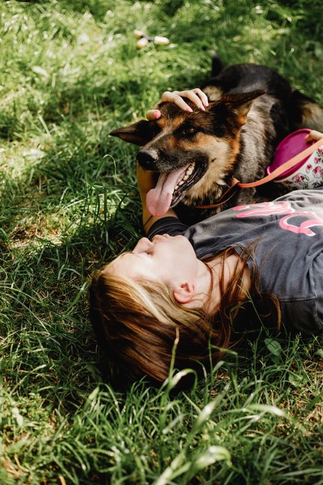 Вічарка Лея шукає дім