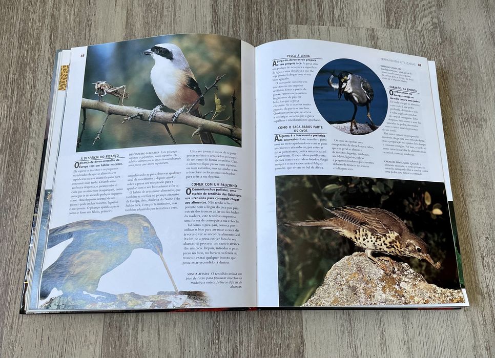 Livro: "1001 Maravilhas da Natureza"