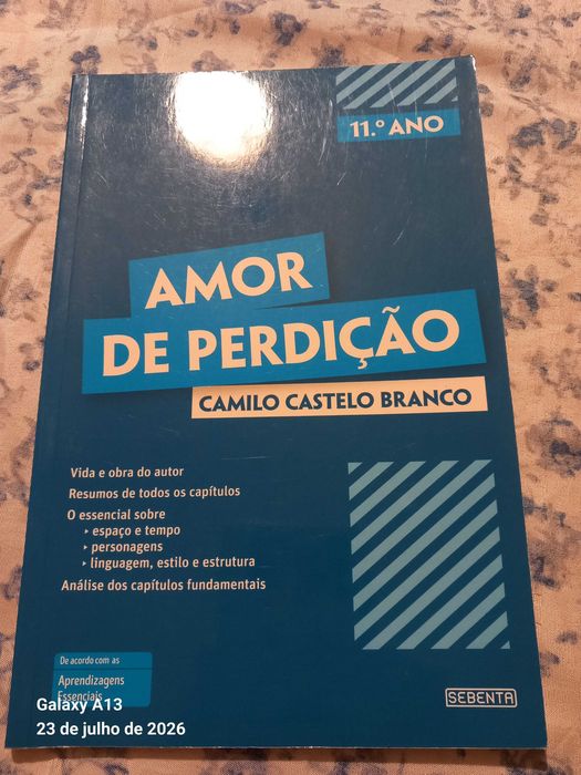 Resumos Amor de Perdição 11°ano com envio incluído