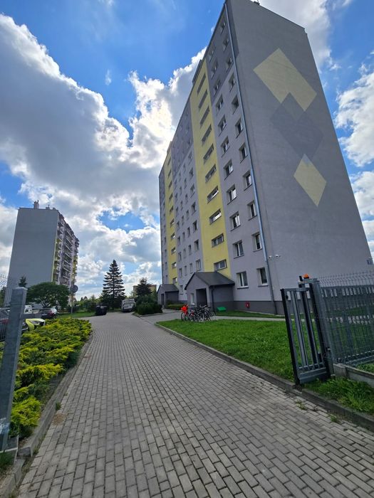 Zdjęcie 8