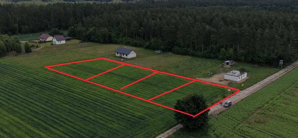 Działka budowlana w otoczeniu lasu w miejscowości Ciechnowo – idealne miejsce na Twój wymarzony dom - Widok 4