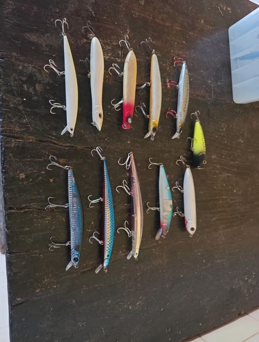 Amostras pesca predadores