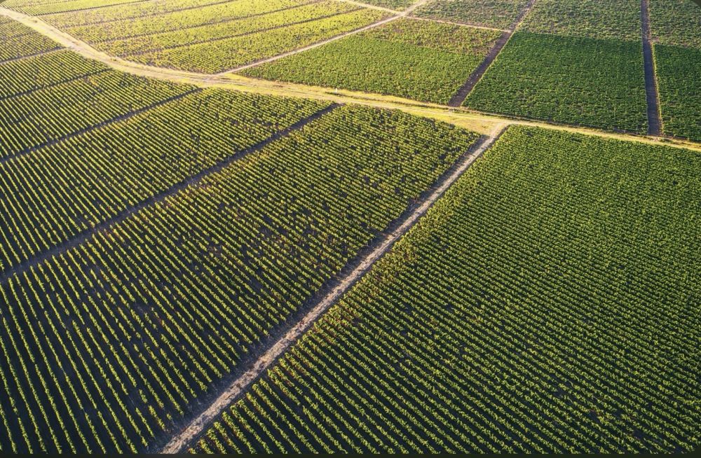 Продається земельна ділянка 2га