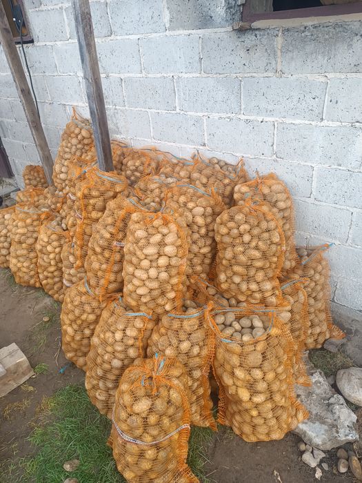 Sprzedam ziemniaki paszowe