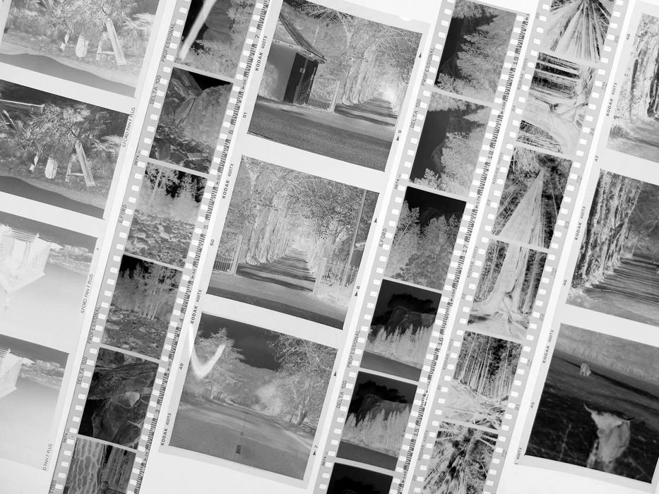 Curso de fotografia analógica - iniciantes