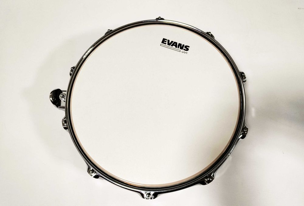 Werbel DW Collectors All Maple Shell 14 x 4,5"