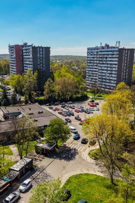 Sprzedam biznes działająca lodziarnia