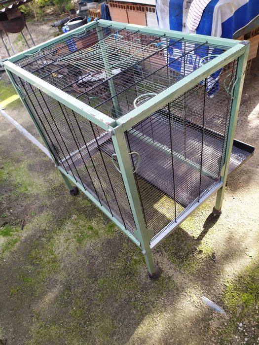 Gaiolas para pássaros grandes, coelhos e não só