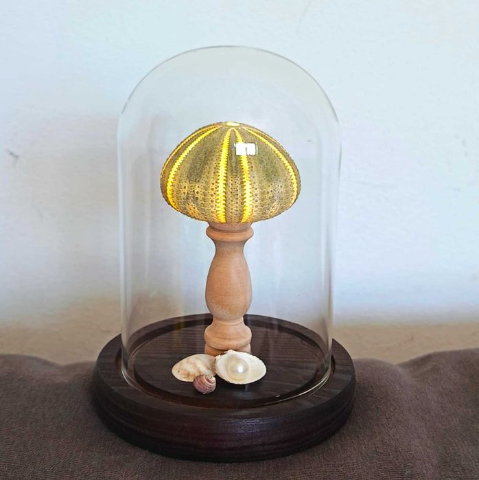 Candeeiro em forma de concha