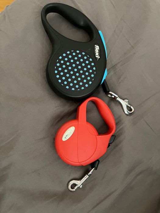 Flexi рулетки, дві рулетки для собак