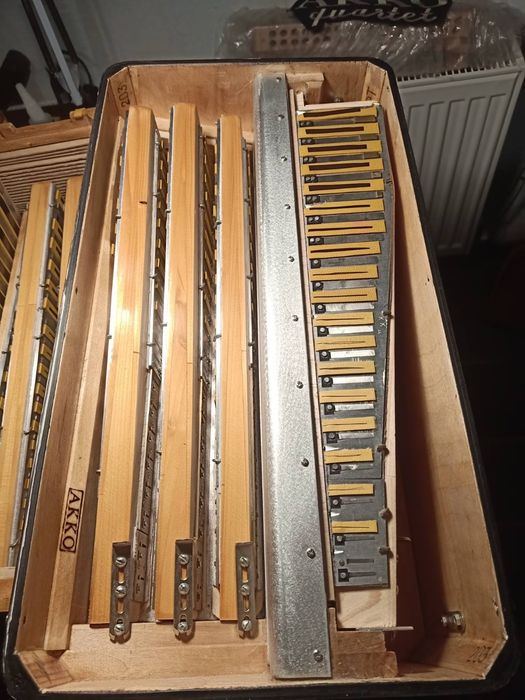 Bajan AKKO (2021) kanałowy z konverterem