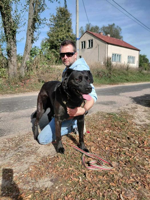 Duży, młody, czarny, mądry pies szuka domu już 2 lata