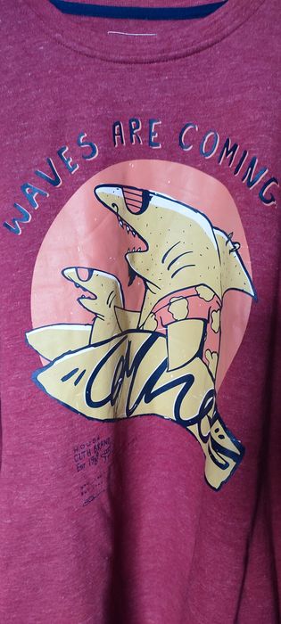 Bluza z nadrukiem house xxl