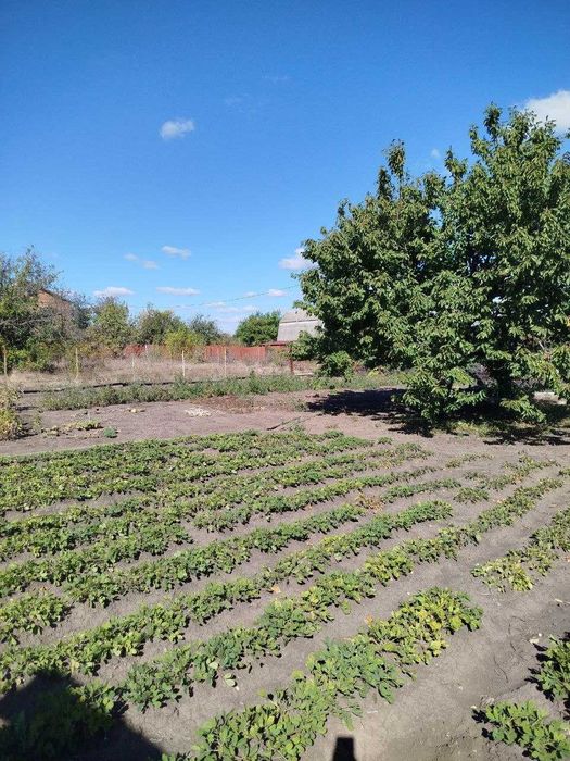 Продам дачу  СТ "Ятрань"