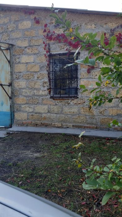 Дом,участок,бизнес.истомина