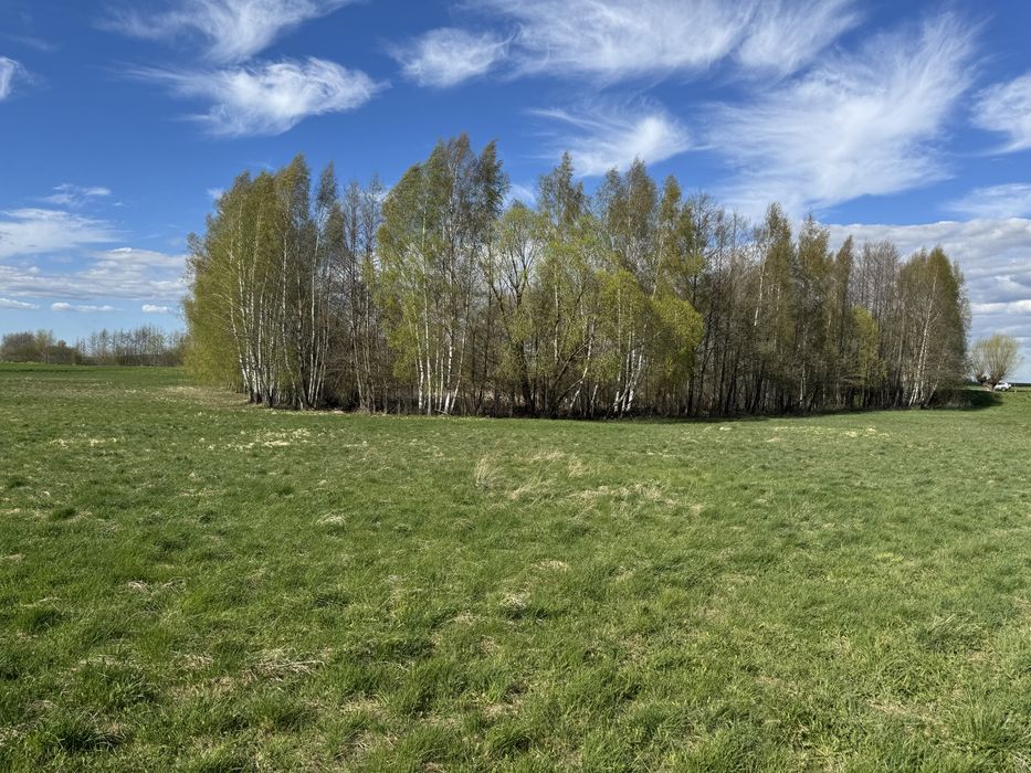 Działka – duży potencjał inwestycyjny - Widok 5