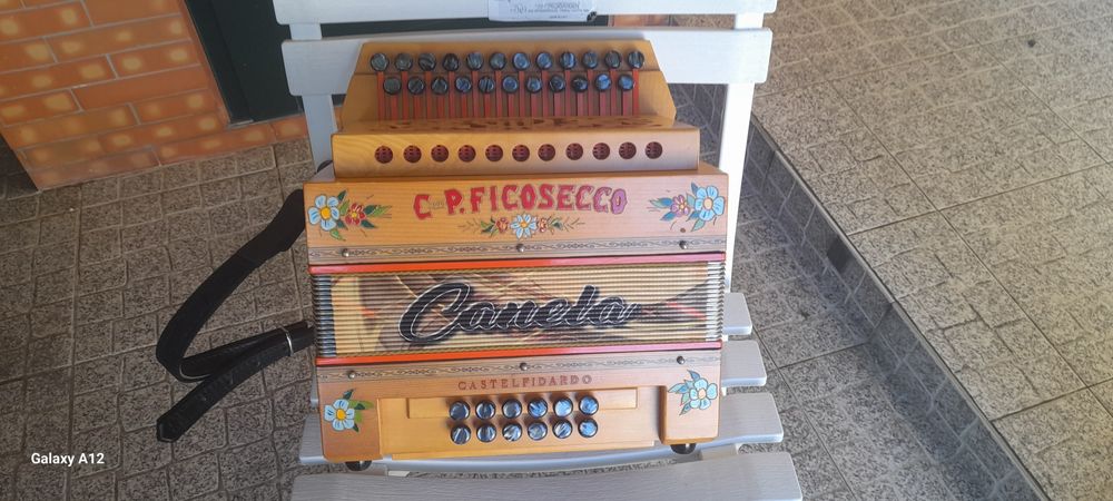 Organetto C.P. Ficosecco64174793732355120