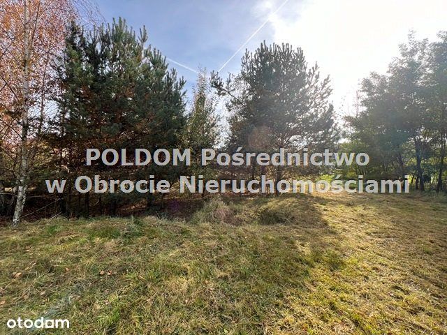 Działka budowlana 5747 m²/ Wilczyn k. Obornik Śl - Widok 5