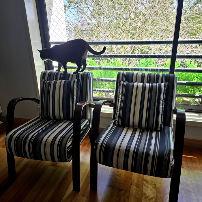 Par poltronas. Tecido Karsten, resistente a liquidos e unhas de gatos