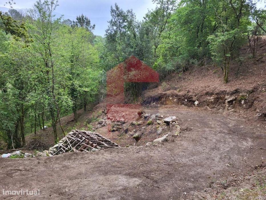 Terreno agrícola, Valdreu — Moimenta (Santo André), Braga