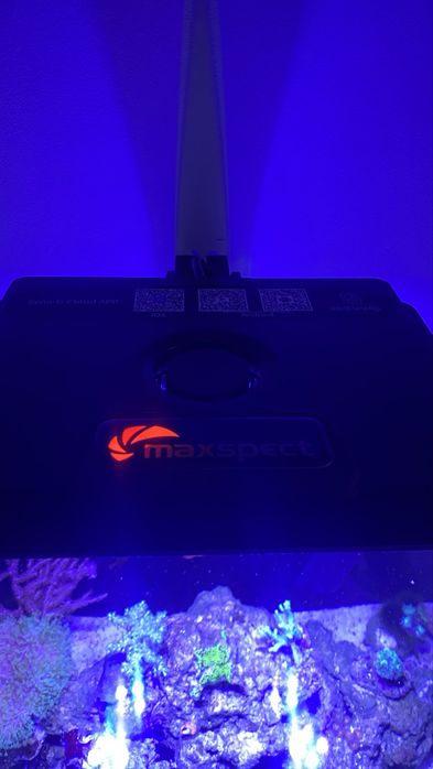Maxspect Jump MJ-L165 – lampa LED do akwarium morskiego | Gwarancja | Stan idealny