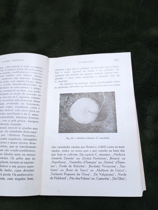 Culturas hortícolas – Alberto Gardé / Nydia Gardé	- 1971*