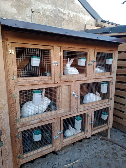 Klatki , klatka na króliki