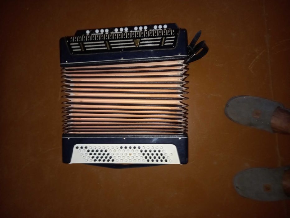 Баян сармат з футлялом новий