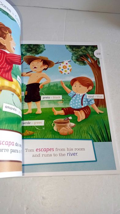 Livros da Coleção - Dicionário Visual Bilingue