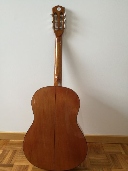 Fender Acustics ESC105