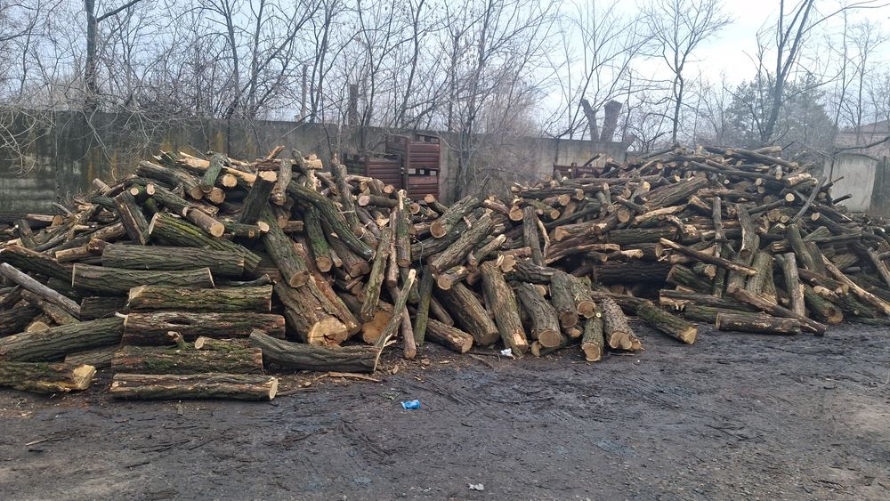 Продам дрова твердых пород акация дуб ясень