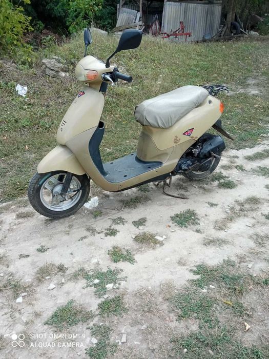 Хонда діо 2006. Рік