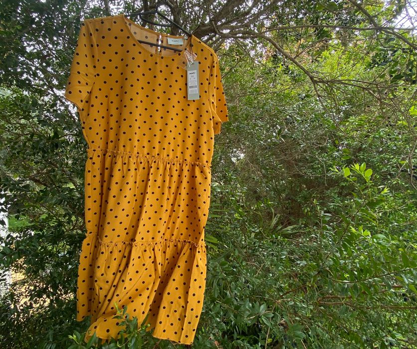 Vestir 38 Moves NEW!